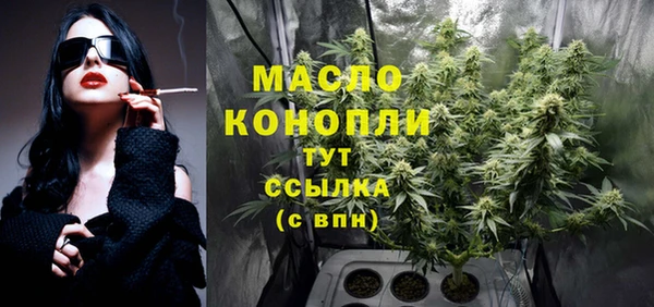 тгк Абаза