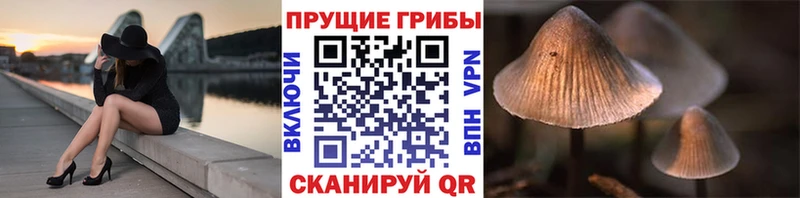 Псилоцибиновые грибы Magic Shrooms  Балашиха 